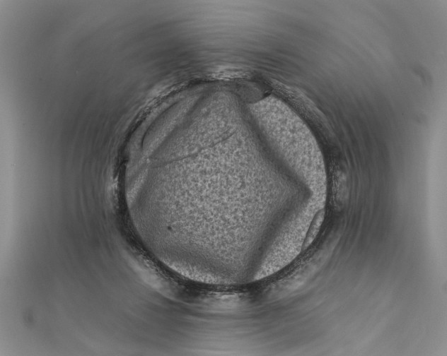 X0000112170260200908281346