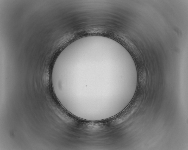 X0000112170261200908281346