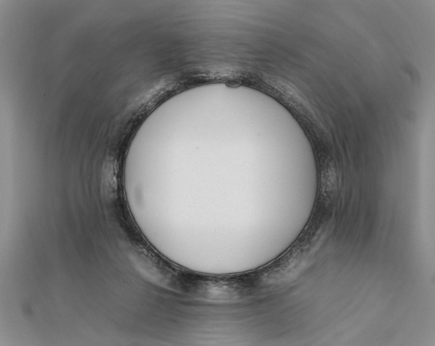 X0000112170264200908281346