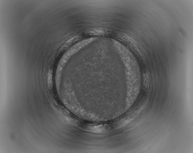 X0000112170267200908281346