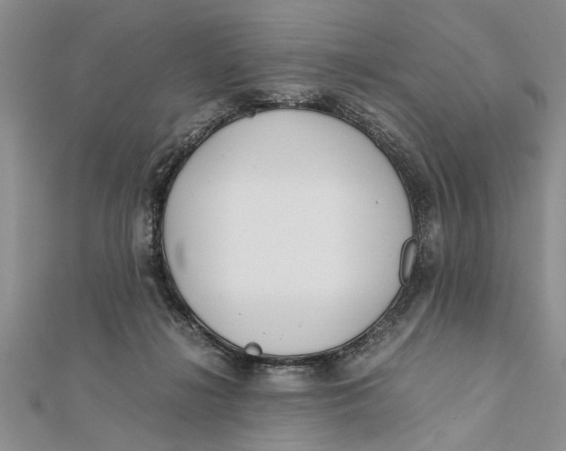 X0000112170268200908281346