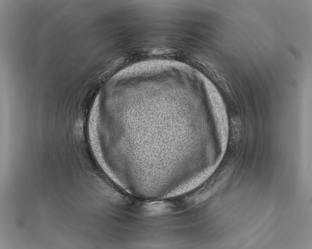 X0000112170269200908281346