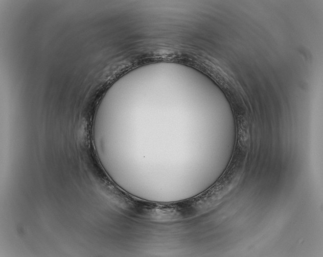 X0000112170270200908281346