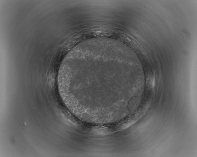 X0000112170271200908281346