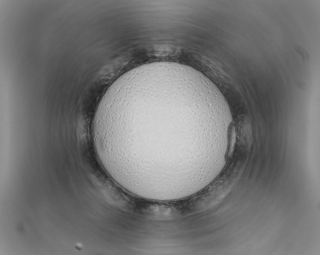 X0000112170272200908281346