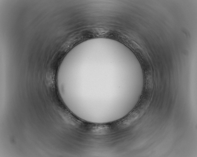 X0000112170274200908281346