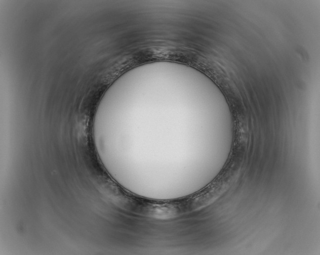 X0000112170275200908281346