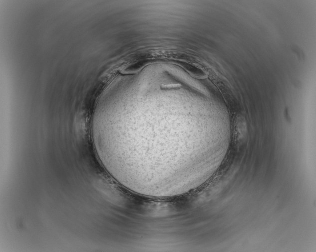 X0000112170276200908281346