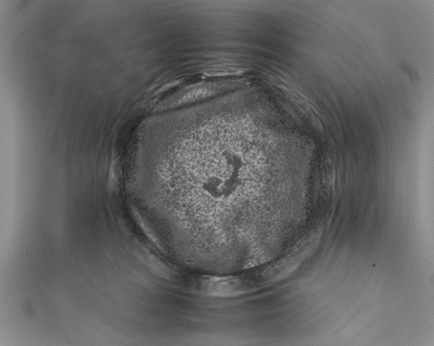 X0000112170277200908281346