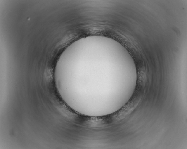 X0000112170278200908281346