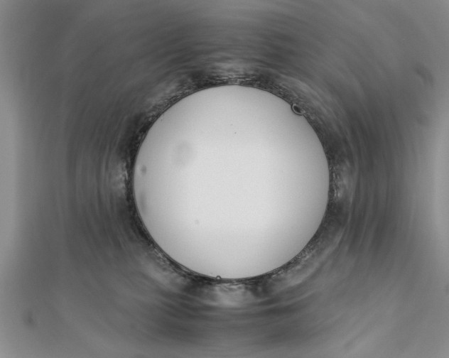 X0000112170279200908281346