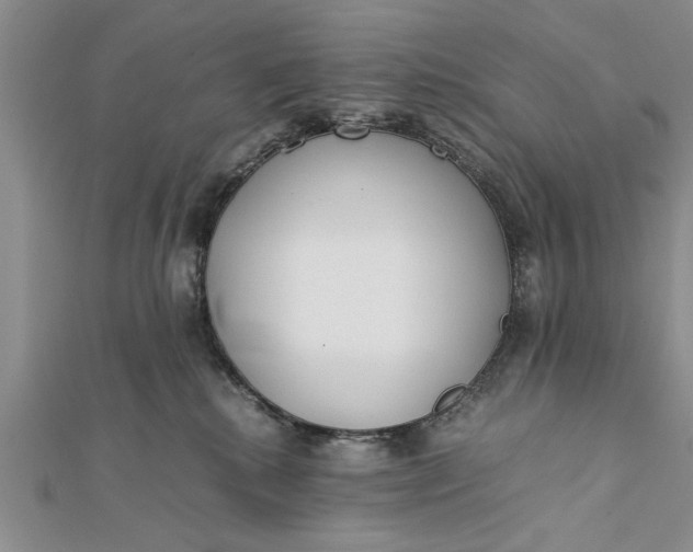 X0000112170280200908281346