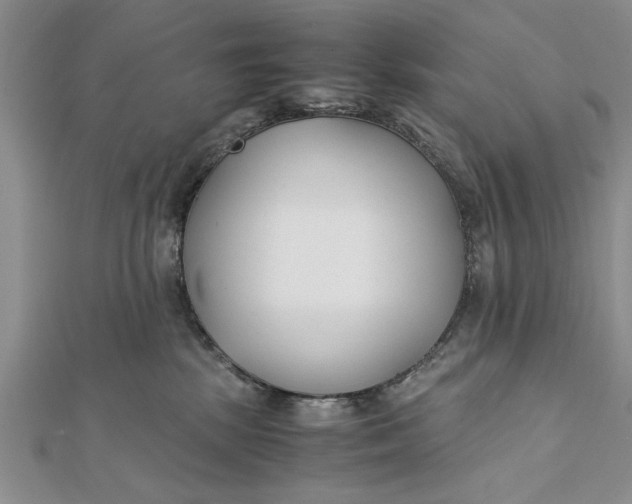 X0000112170281200908281346