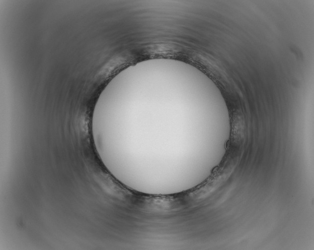 X0000112170282200908281346