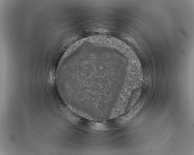 X0000112170285200908281346