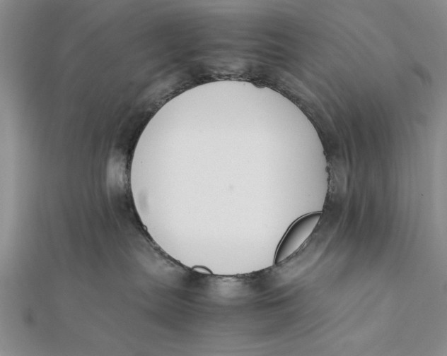 X0000112170287200908281346