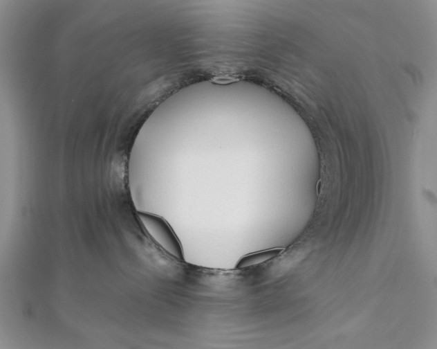 X0000112170288200908281346