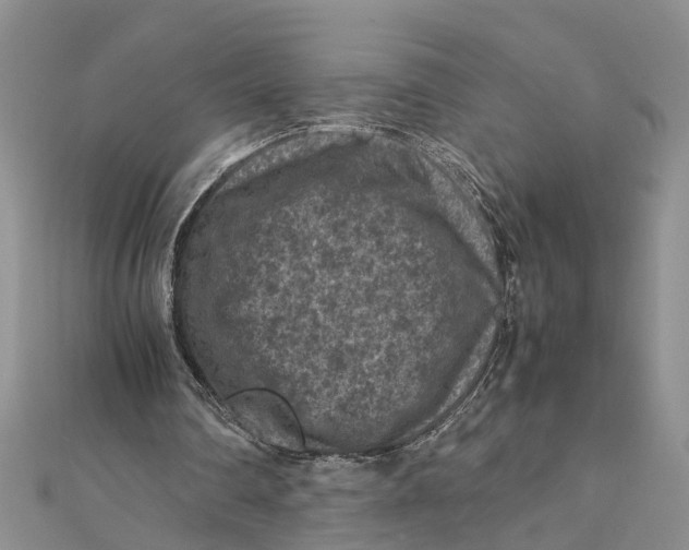 X0000112170290200908281345