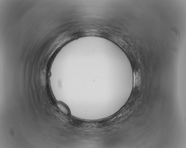 X0000112170291200908281345