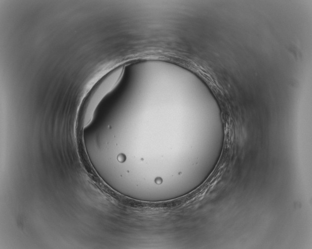 X0000112170292200908281345