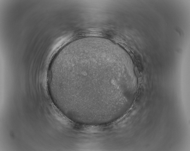 X0000112170293200908281345