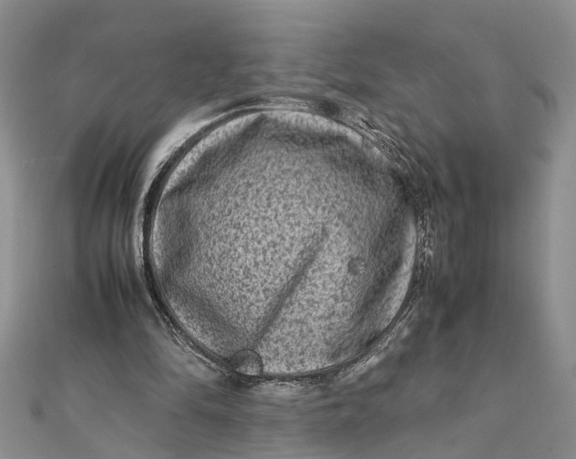 X0000112170294200908281345