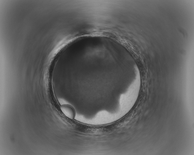 X0000112170295200908281345