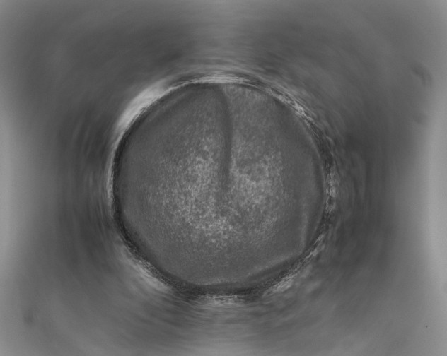 X0000112170296200908281345