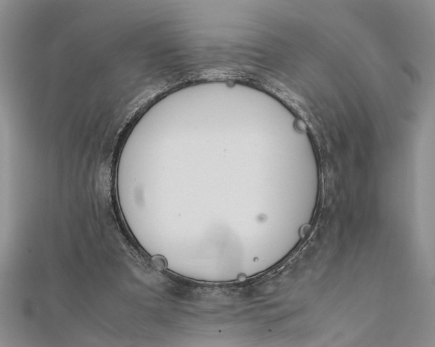 X0000112170297200908281345