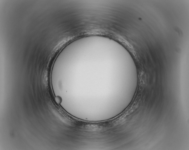 X0000112170298200908281345