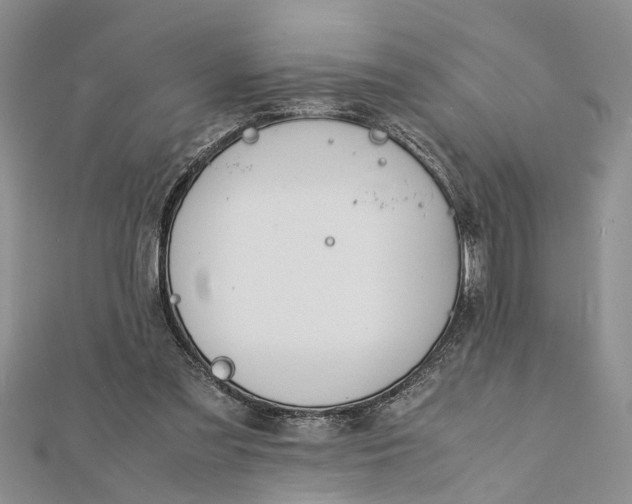 X0000112170301200908281345