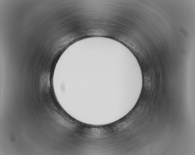 X0000112170302200908281345