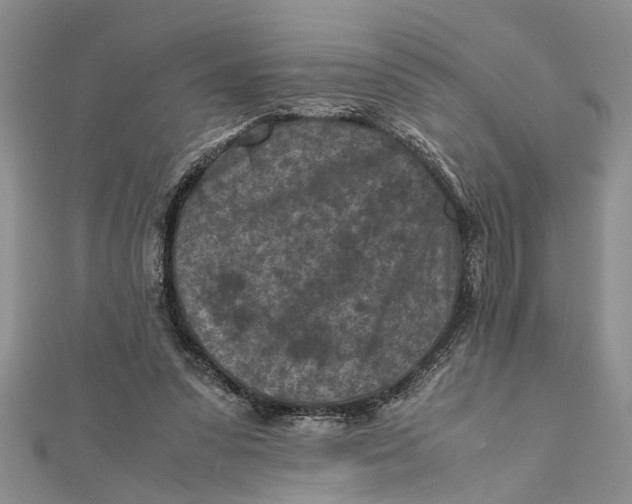 X0000112170303200908281345