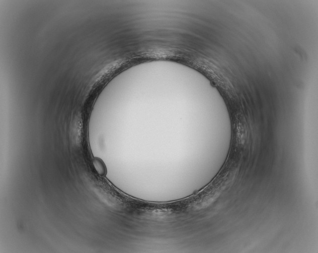 X0000112170304200908281345