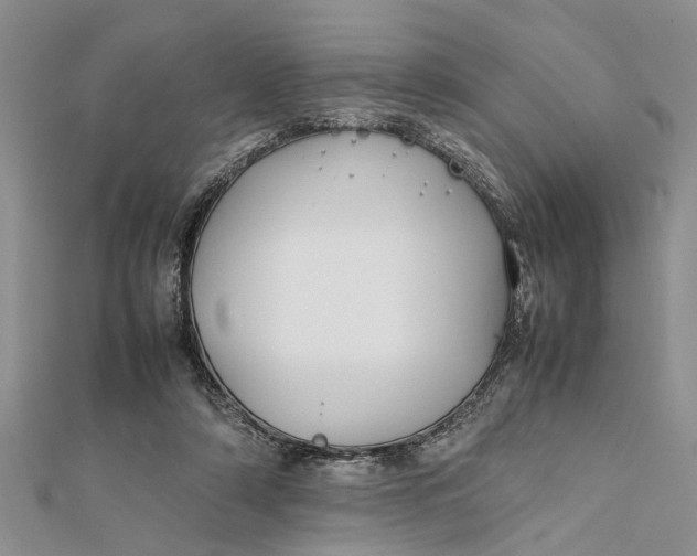 X0000112170306200908281345