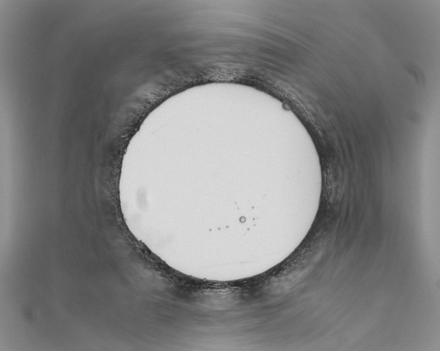 X0000112170307200908281345