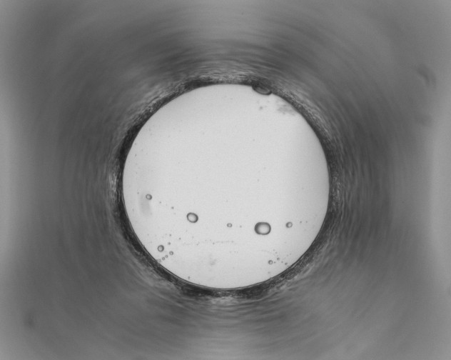 X0000112170309200908281345