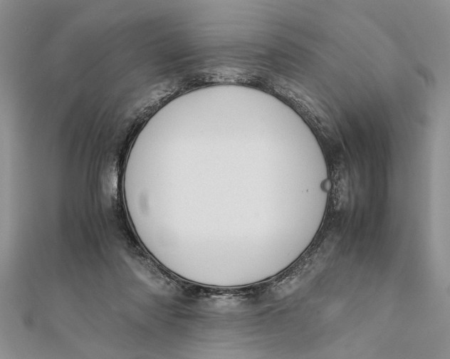 X0000112170310200908281345