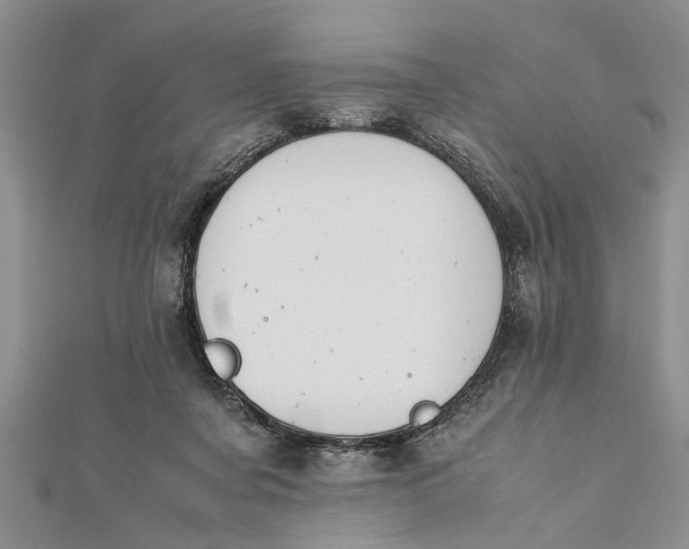 X0000112170311200908281345