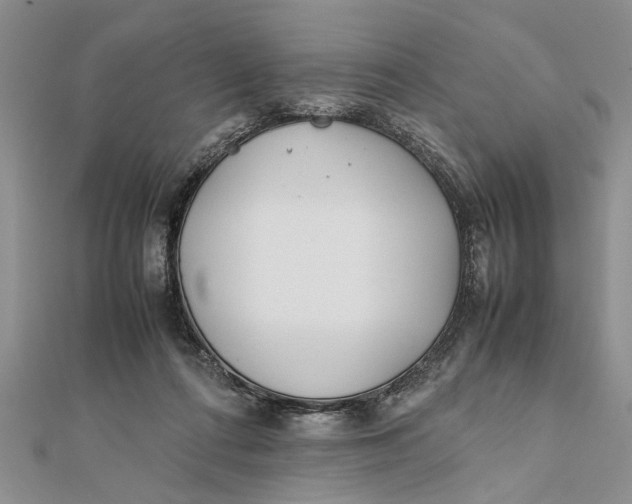 X0000112170312200908281345