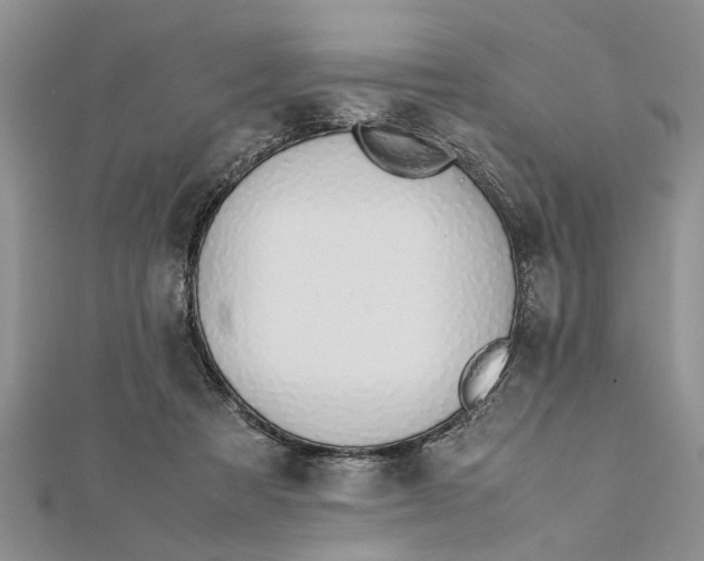 X0000112170313200908281345