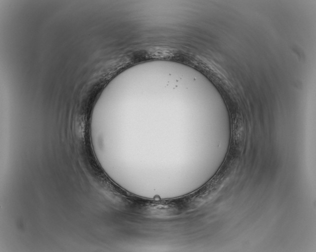 X0000112170315200908281345