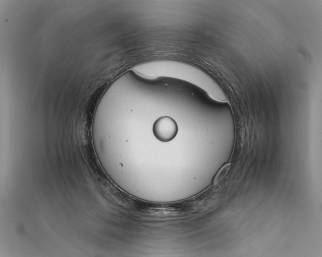 X0000112170316200908281345