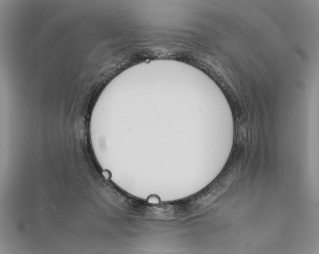 X0000112170317200908281345