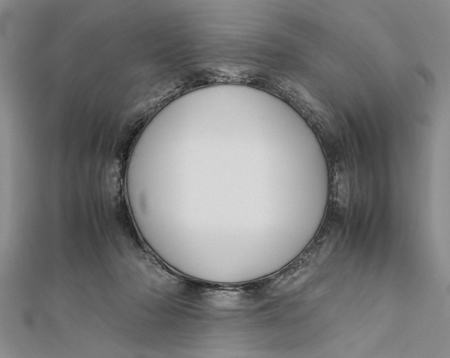 X0000112170318200908281345