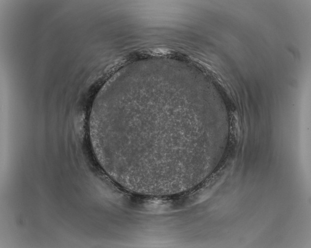 X0000112170319200908281345