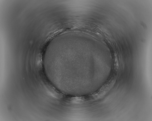 X0000112170320200908281345