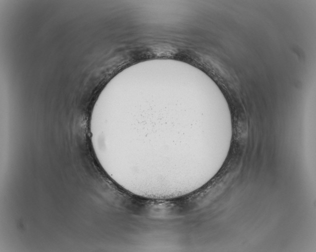 X0000112170321200908281345