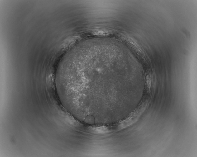 X0000112170322200908281345