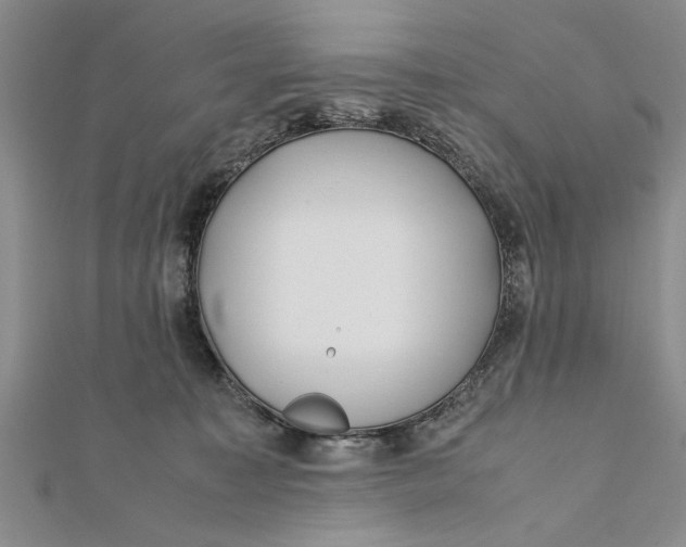 X0000112170323200908281345